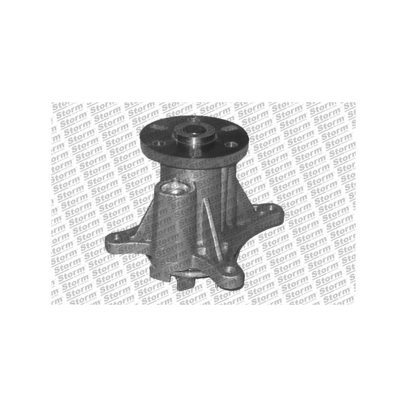 Pompe à eau STORM