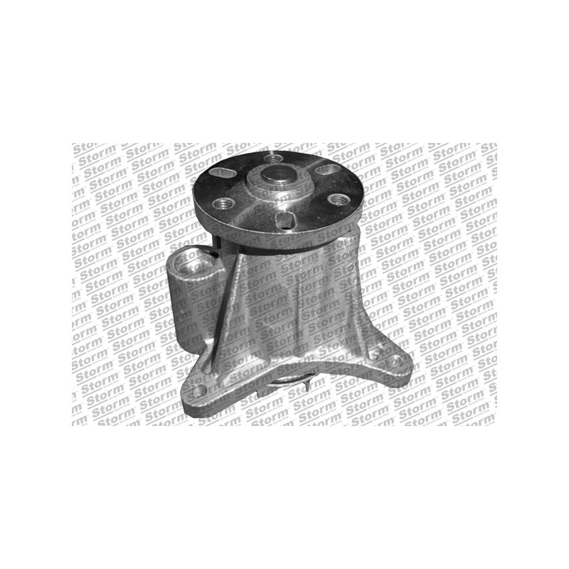 Pompe à eau STORM