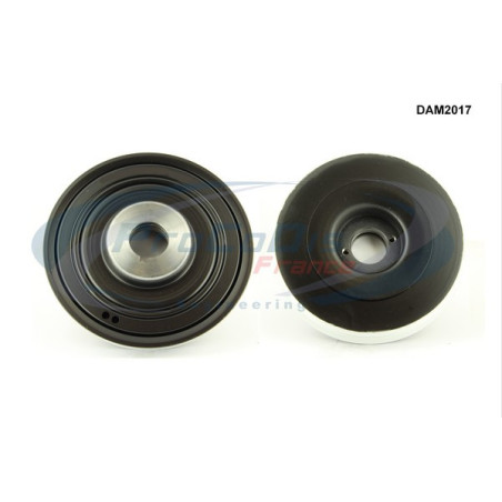 Poulie damper PROCODIS FRANCE