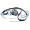 Kit de courroies d'accessoire PROCODIS FRANCE