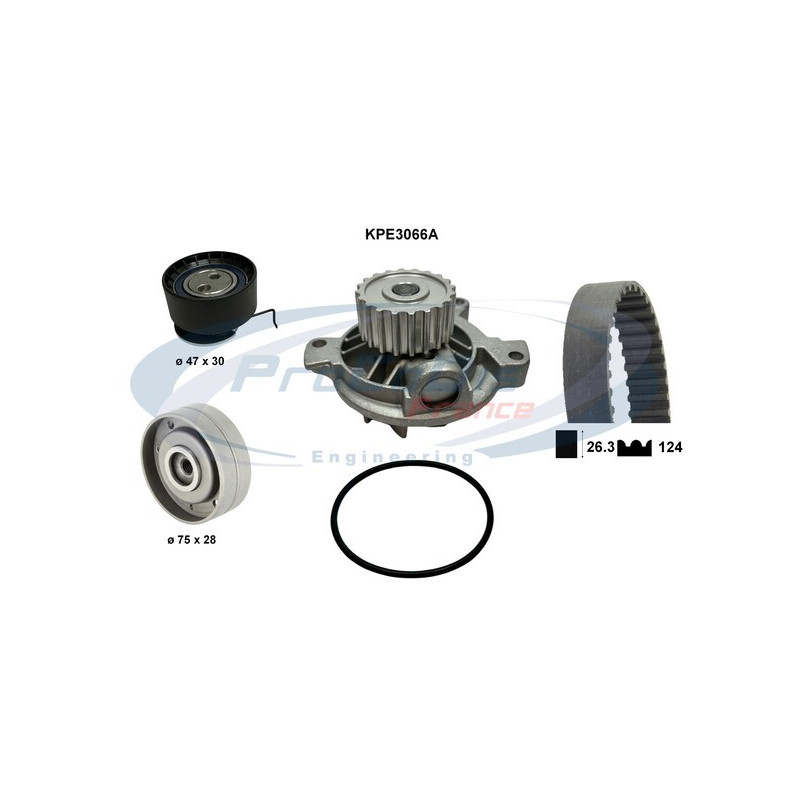Kit de distribution + pompe à eau PROCODIS FRANCE