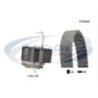 Kit de distribution PROCODIS FRANCE
