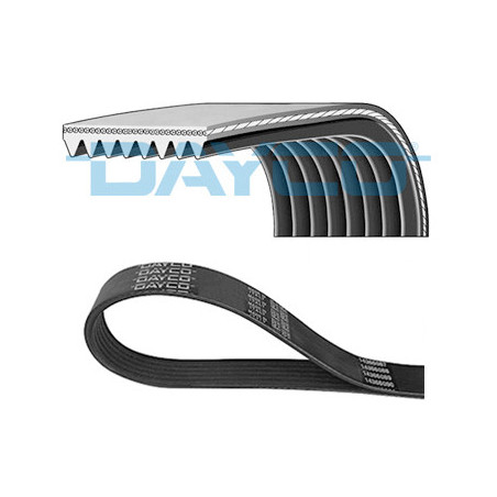 Courroie d'accessoire DAYCO