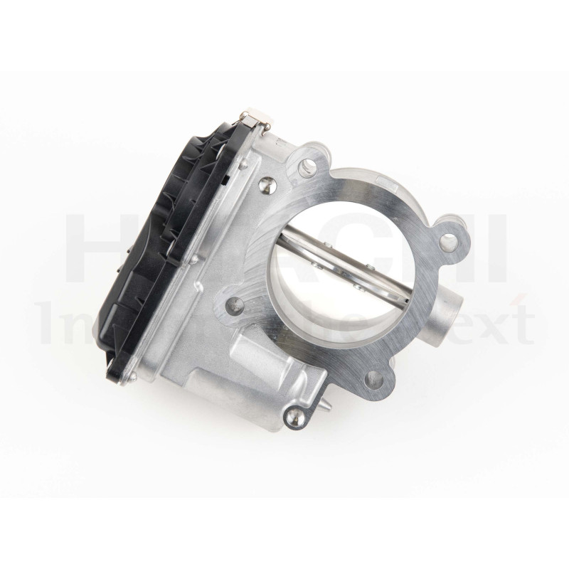 Boîtier de papillon HITACHI