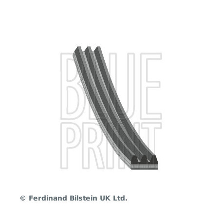 Courroie d'accessoire BLUE...