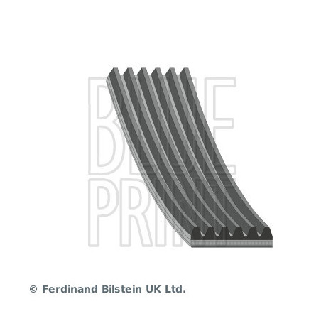 Courroie d'accessoire BLUE...