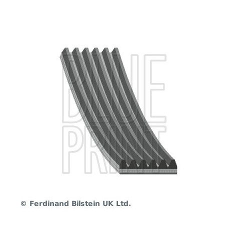 Courroie d'accessoire BLUE...