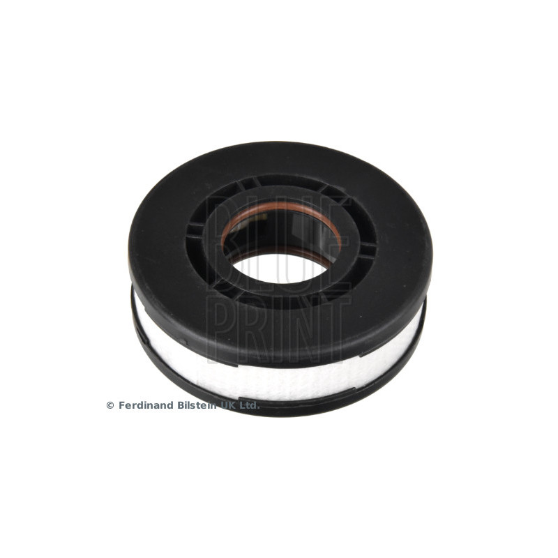 Filtre (ventilation du carter-moteur) BLUE PRINT