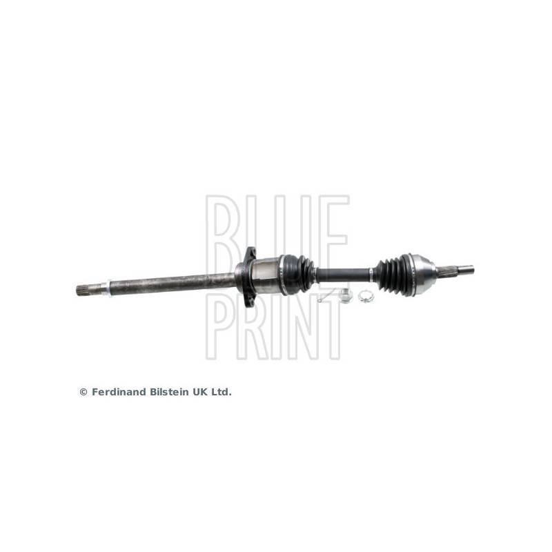 Cardan BLUE PRINT