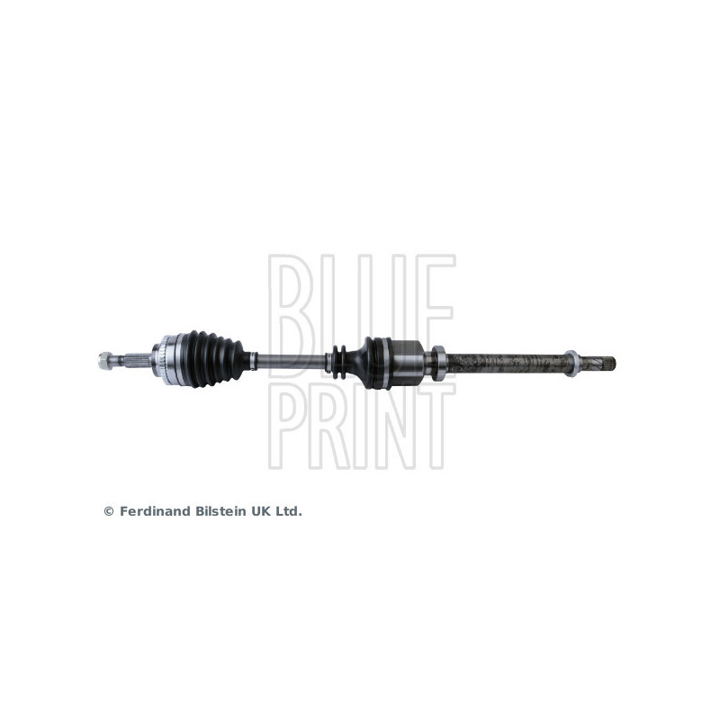 Cardan BLUE PRINT