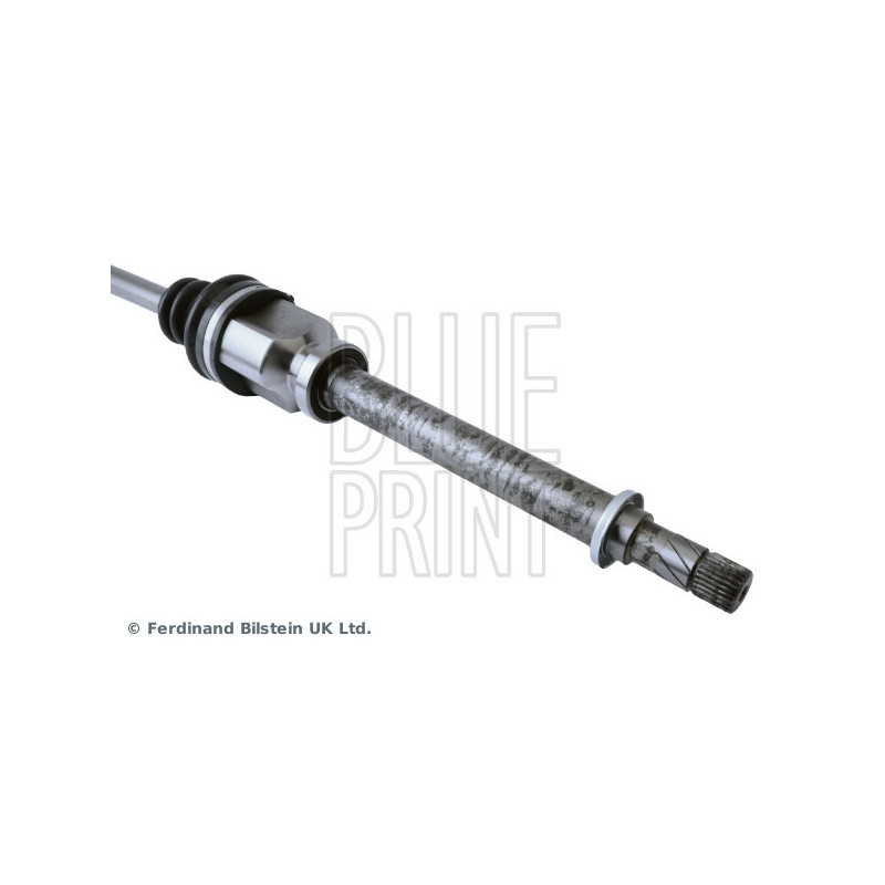 Cardan BLUE PRINT