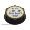 Bouchon de vase d'expansion (liquide de refroidissement) BLUE PRINT