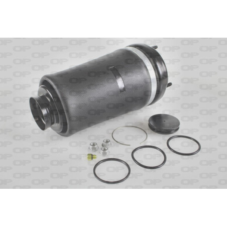 Ressort pneumatique-...