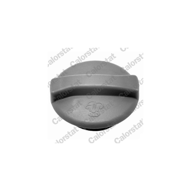 Vase d'expansion (liquide de refroidissement) CALORSTAT by Vernet