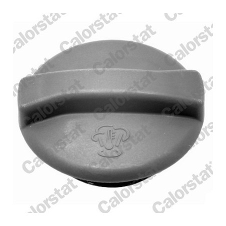 Vase d'expansion (liquide de refroidissement) CALORSTAT by Vernet