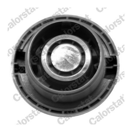 Vase d'expansion (liquide de refroidissement) CALORSTAT by Vernet