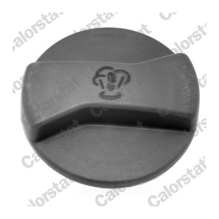 Vase d'expansion (liquide de refroidissement) CALORSTAT by Vernet