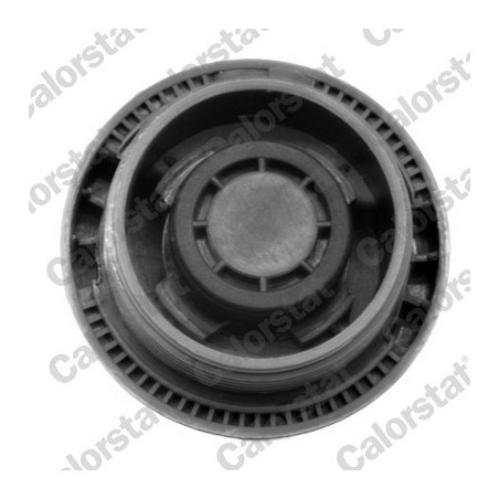 Vase d'expansion (liquide de refroidissement) CALORSTAT by Vernet