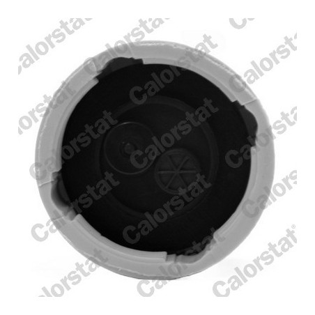 Vase d'expansion (liquide de refroidissement) CALORSTAT by Vernet