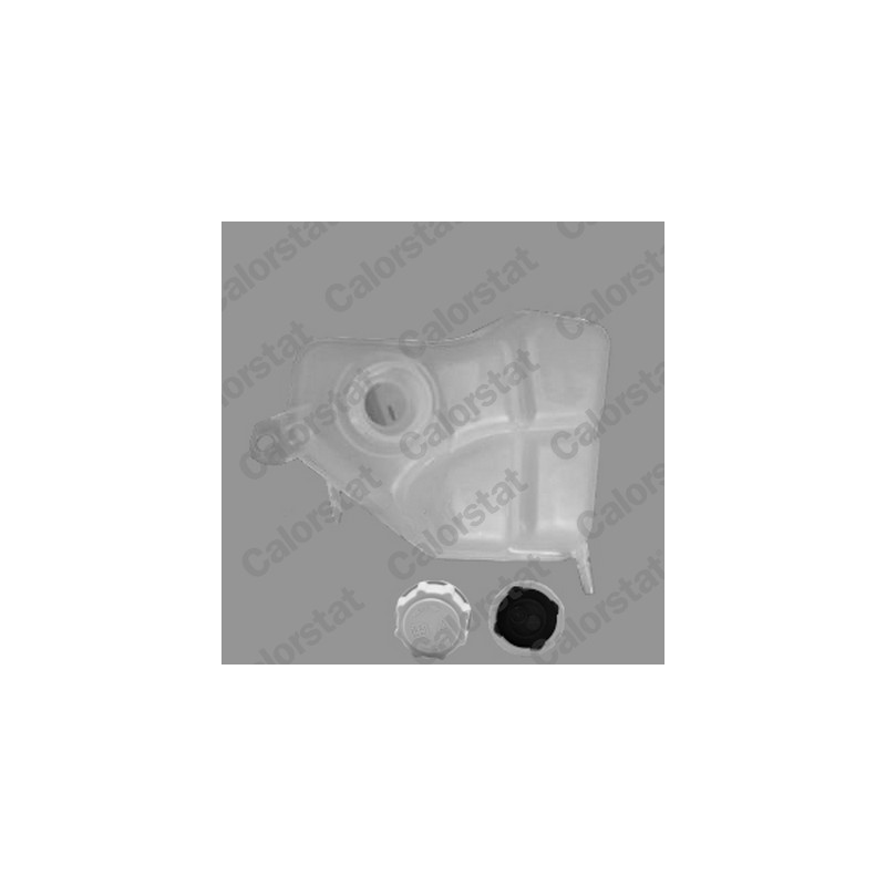 Vase d'expansion (liquide de refroidissement) CALORSTAT by Vernet