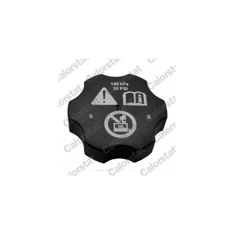 Vase d'expansion (liquide de refroidissement) CALORSTAT by Vernet