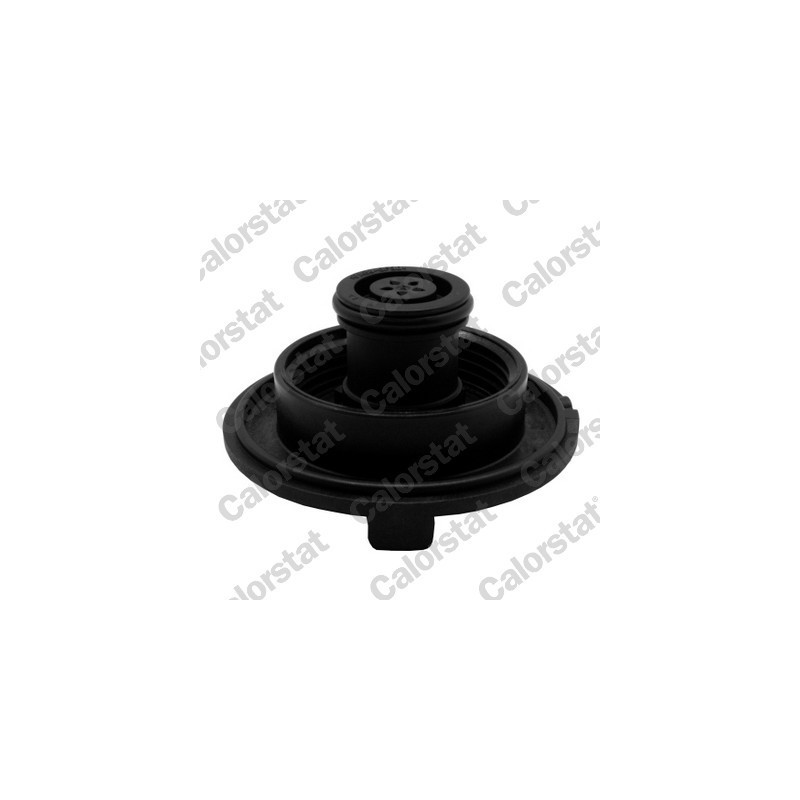 Vase d'expansion (liquide de refroidissement) CALORSTAT by Vernet
