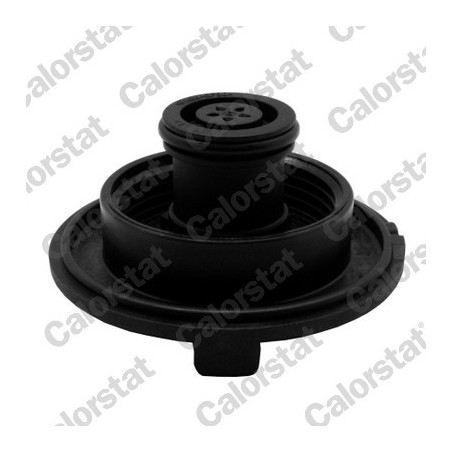 Vase d'expansion (liquide de refroidissement) CALORSTAT by Vernet