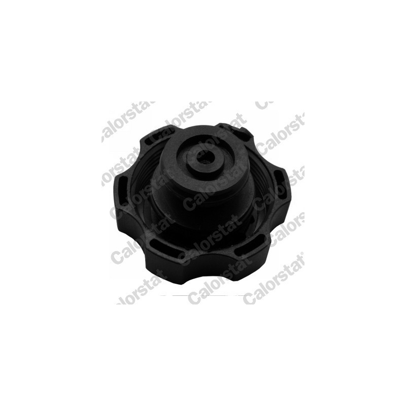 Vase d'expansion (liquide de refroidissement) CALORSTAT by Vernet