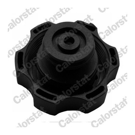 Vase d'expansion (liquide de refroidissement) CALORSTAT by Vernet