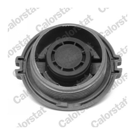 Vase d'expansion (liquide de refroidissement) CALORSTAT by Vernet