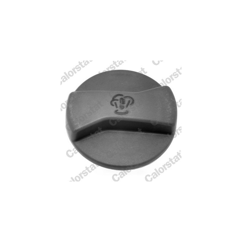 Vase d'expansion (liquide de refroidissement) CALORSTAT by Vernet