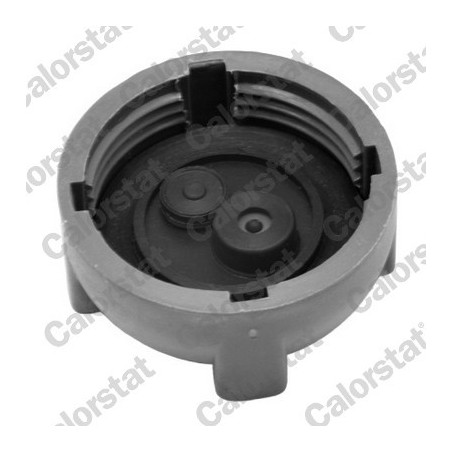 Vase d'expansion (liquide de refroidissement) CALORSTAT by Vernet