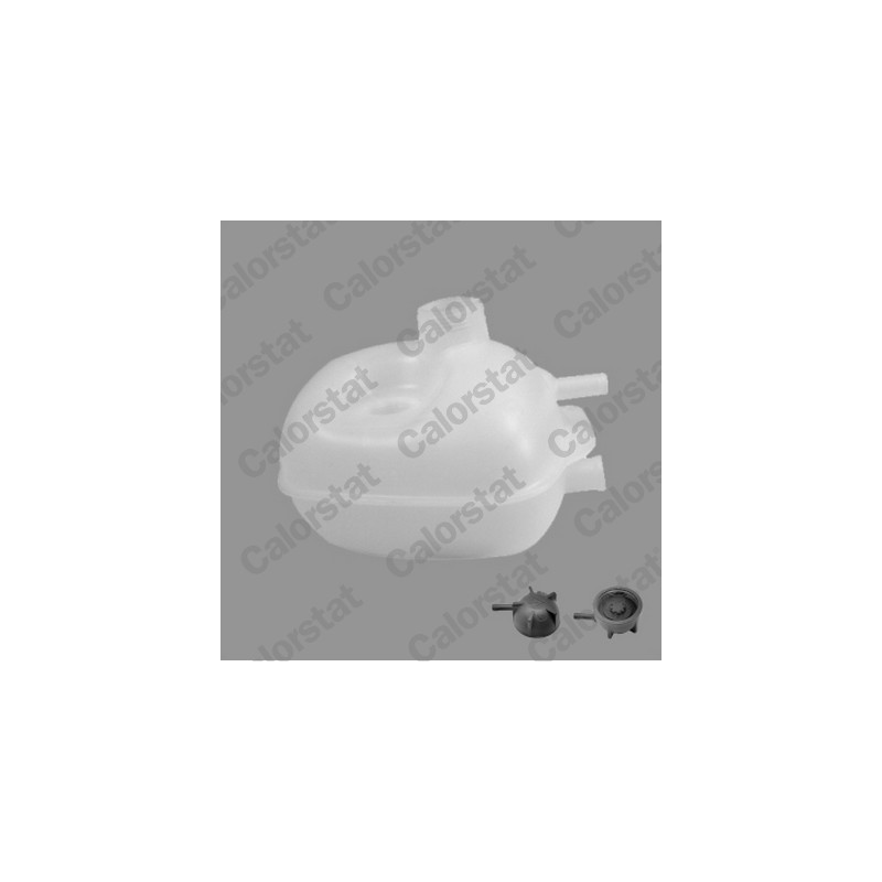 Vase d'expansion (liquide de refroidissement) CALORSTAT by Vernet
