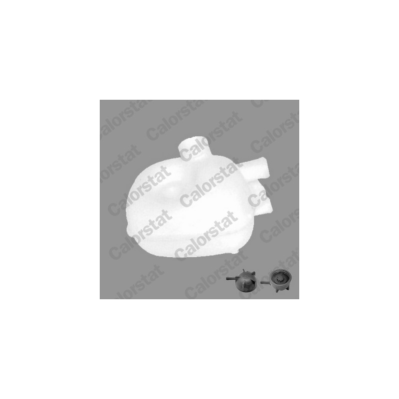 Vase d'expansion (liquide de refroidissement) CALORSTAT by Vernet
