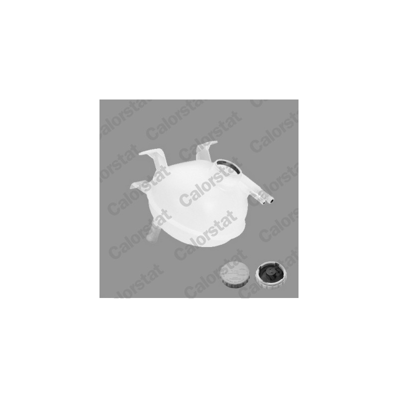 Vase d'expansion (liquide de refroidissement) CALORSTAT by Vernet