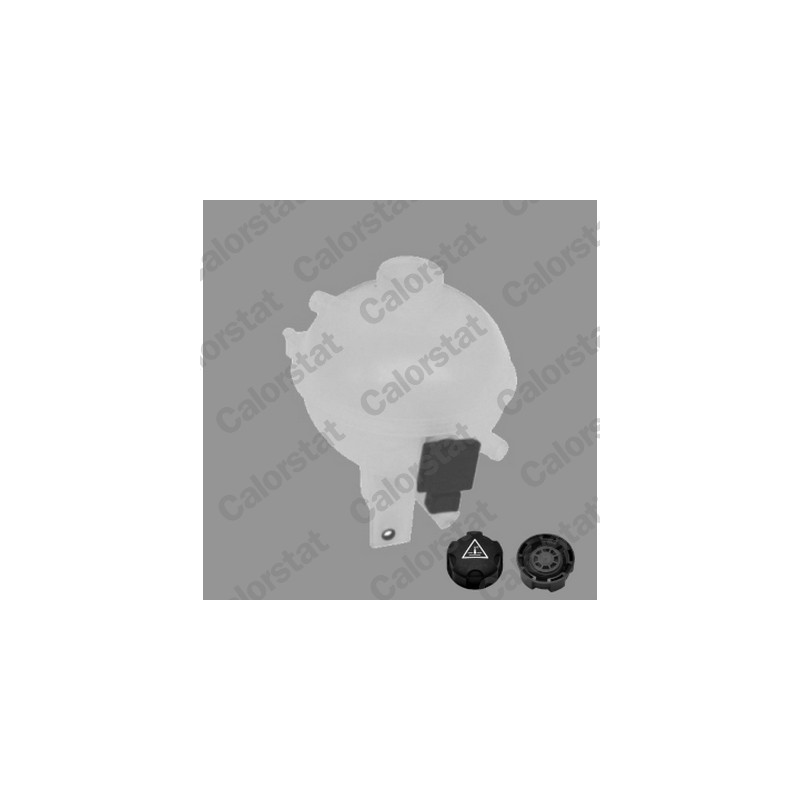 Vase d'expansion (liquide de refroidissement) CALORSTAT by Vernet