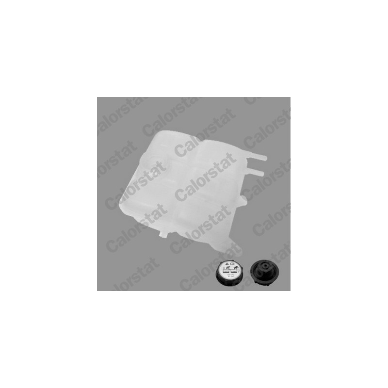 Vase d'expansion (liquide de refroidissement) CALORSTAT by Vernet