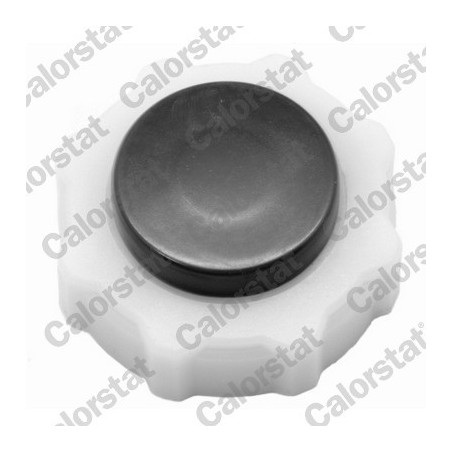 Vase d'expansion (liquide de refroidissement) CALORSTAT by Vernet