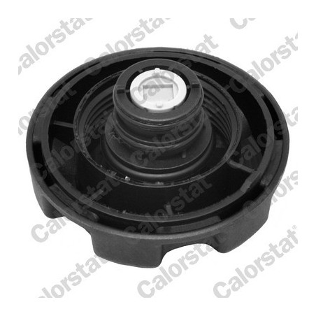 Vase d'expansion (liquide de refroidissement) CALORSTAT by Vernet