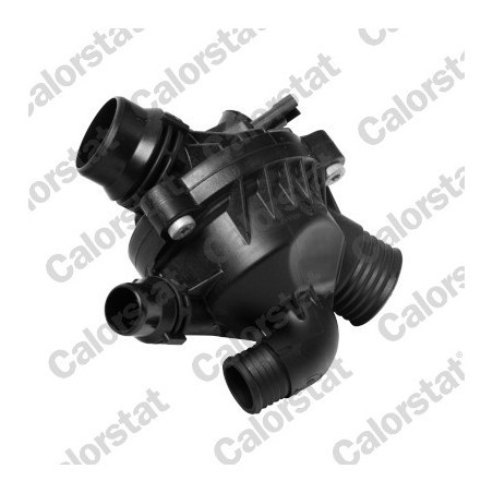 Thermostat d'eau CALORSTAT...