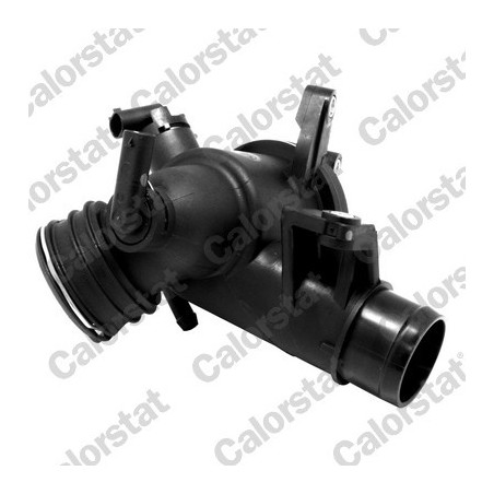 Thermostat d'eau CALORSTAT...