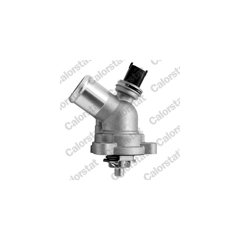 Thermostat d'eau CALORSTAT by Vernet