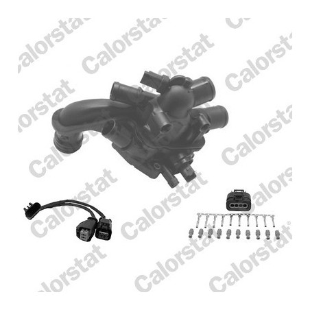 Thermostat d'eau CALORSTAT by Vernet