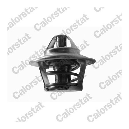 Thermostat d'eau CALORSTAT by Vernet