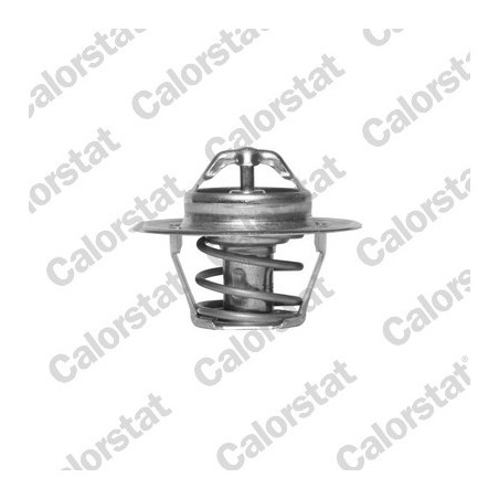 Thermostat d'eau CALORSTAT by Vernet