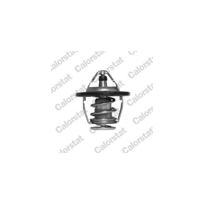Thermostat d'eau CALORSTAT by Vernet