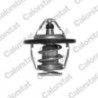 Thermostat d'eau CALORSTAT by Vernet