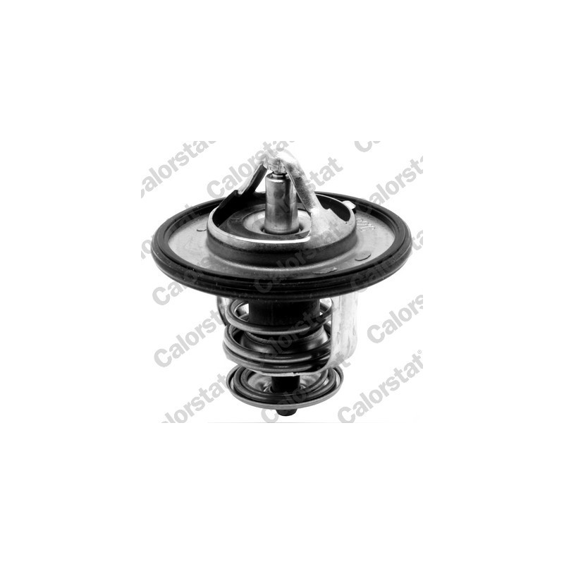 Thermostat d'eau CALORSTAT by Vernet