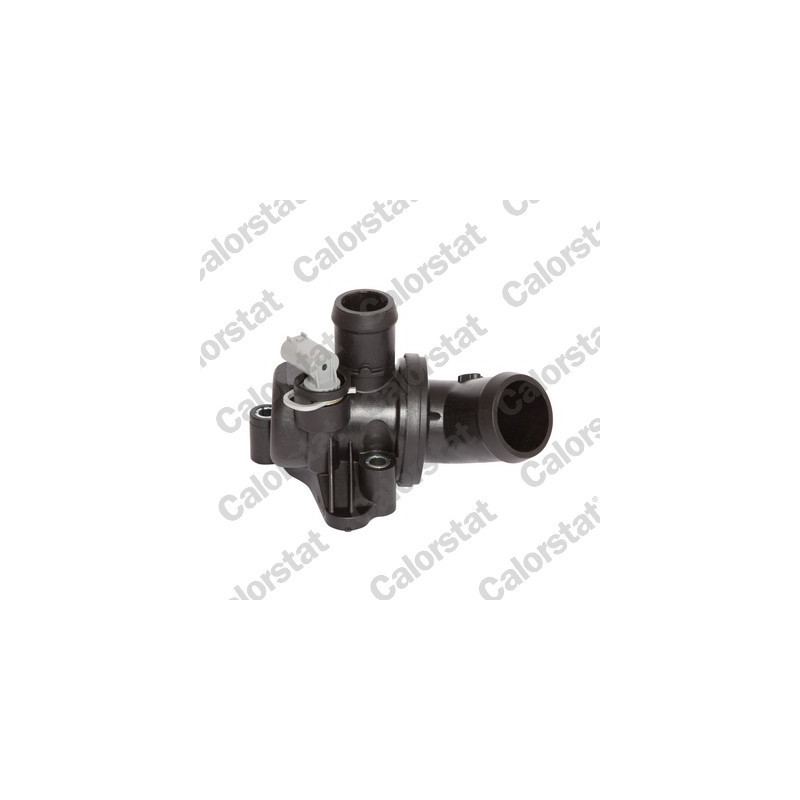 Thermostat d'eau CALORSTAT by Vernet