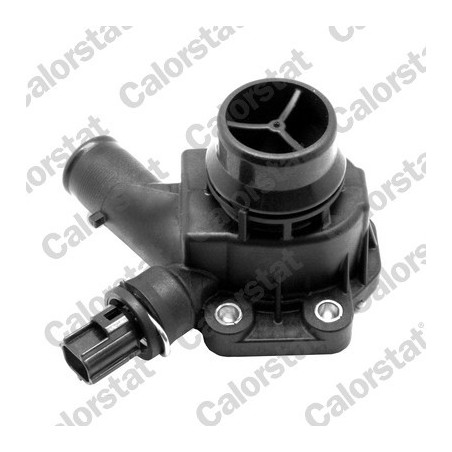 Thermostat d'eau CALORSTAT...